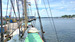 Zeegaand Charterschip Swaensborgh BILD 4
